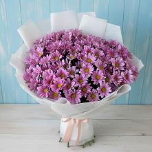 Букет цветов из:  Хризантемы #REPLACE_PRED# Рождественском